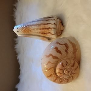 Otagiri seashell salt and pepper shakers